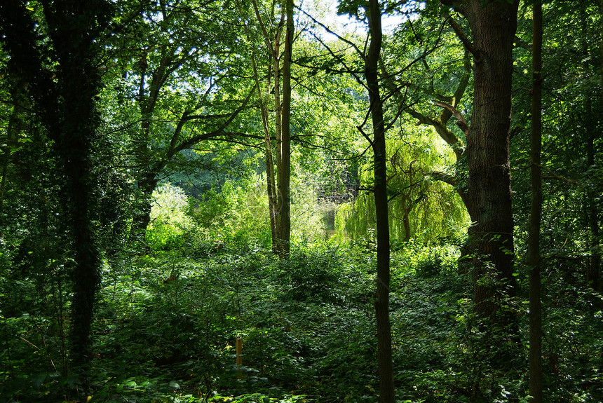 隆登HampsteadHeat图片