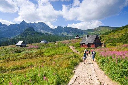 塔特拉山的徒步旅行者图片