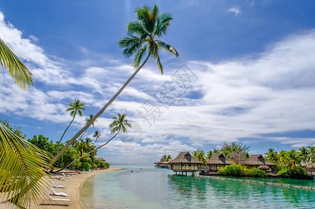 法属波利尼西亚热带海滩河滨图片