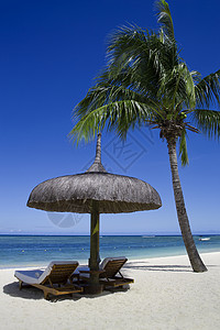 毛里求斯任何时候都很好的度假胜地不错的酒店和一流的海滩图片
