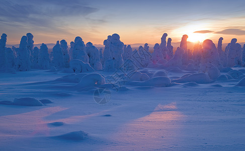 北乌拉尔山树上的雪数惊人与西伯利亚接图片