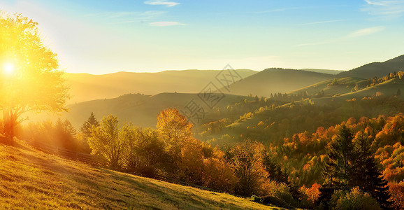 山间秋景色彩斑斓的森林图片