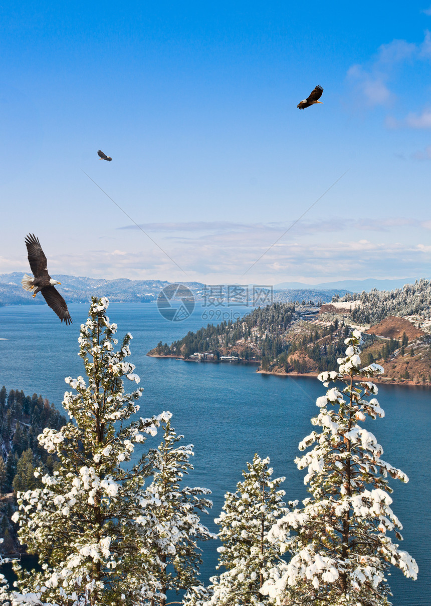 从冬季与三头鹰一起的矿物山脊徒步足迹中看到CoeurdAlene图片