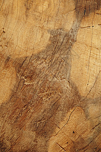 纯木板背景和纹理显示纤维林草图片