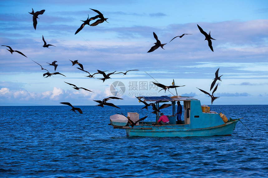 太平洋上的渔民鸟儿飞过他图片