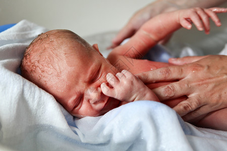 刚出生的新生男婴图片