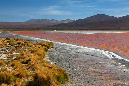 玻利维亚的泻湖图片