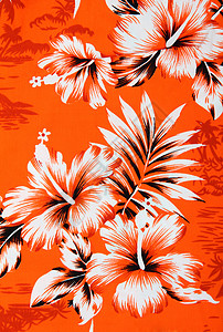Hibiscus花卉背景图片