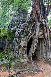 AngkorWat柬埔寨SiemReap寺庙图片