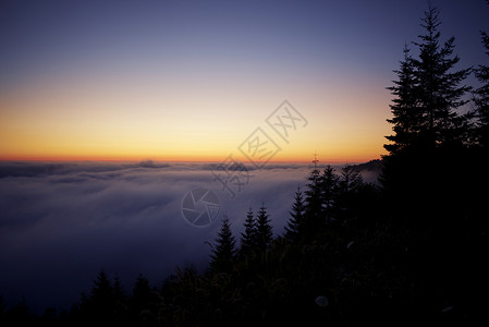 太平洋日落红木森林山上的云层美丽的加州海岸日落图片