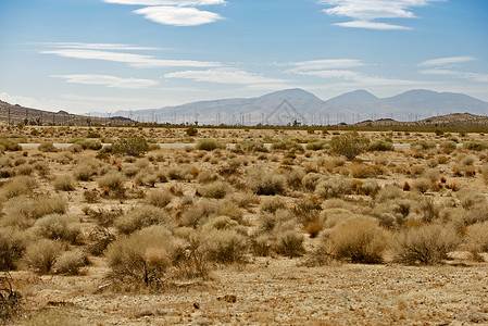 Mojave沙漠US14HwyMojave沙漠和风涡轮树种植园图片