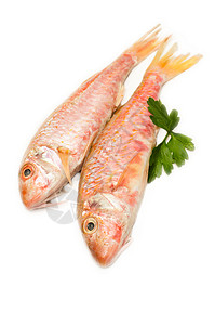 白色新鲜鱼背景图片