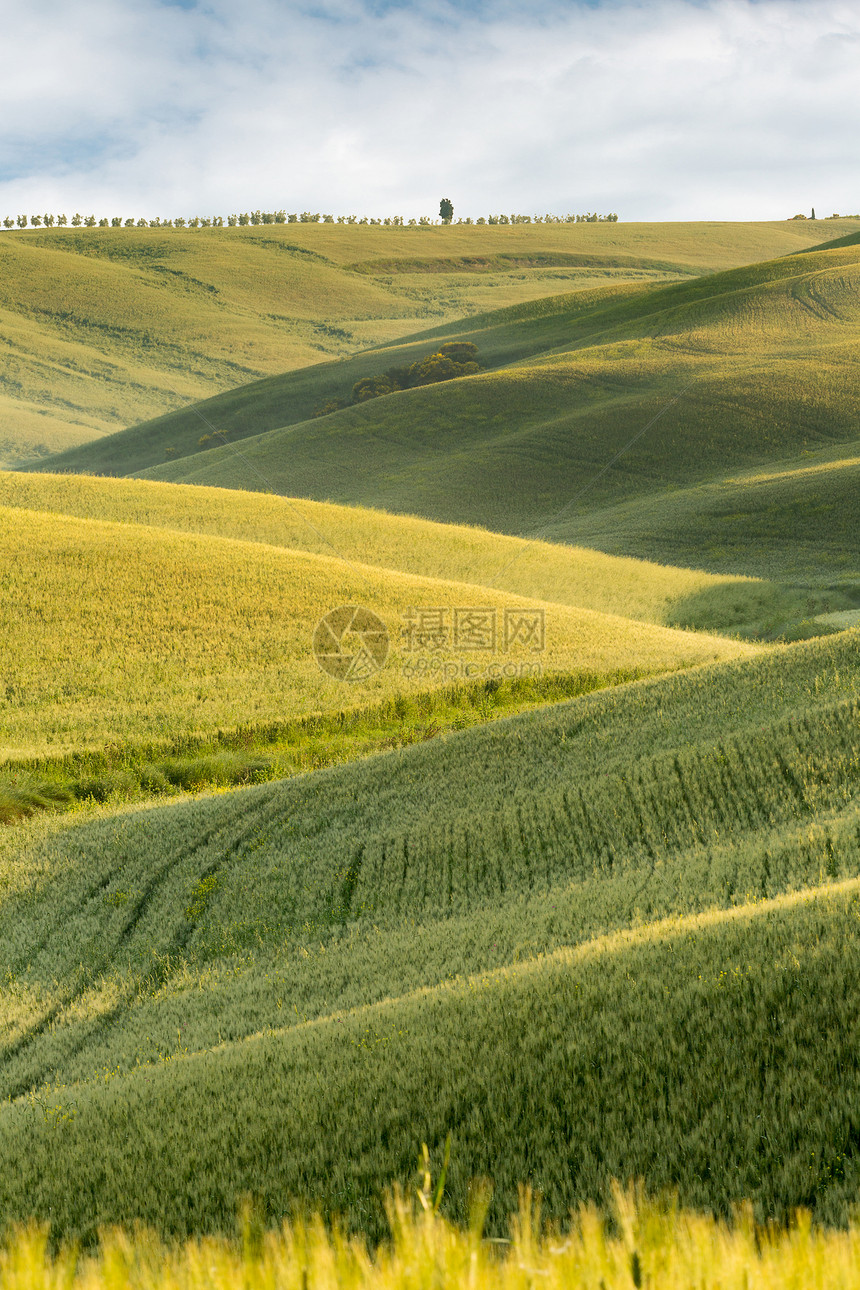 在皮恩扎附近托斯卡纳的格力起伏山丘上的景色图片