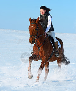 冬天骑马的女孩图片