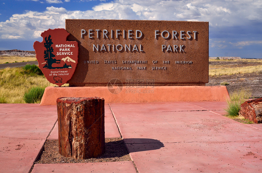 进入亚利桑那州Petrified森林公图片