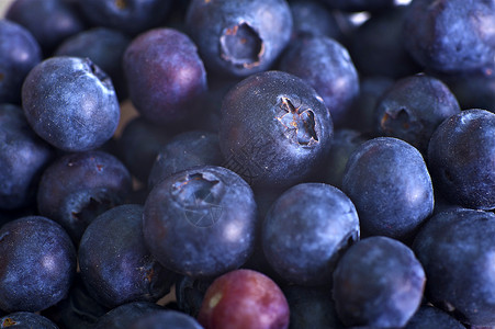 蓝莓特写微距照片新鲜美味的蓝莓图片