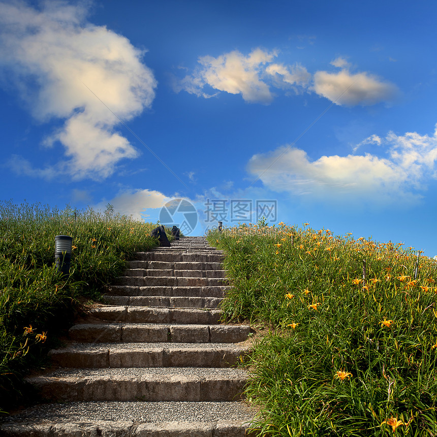 花莲节六十石山的黄花菜图片