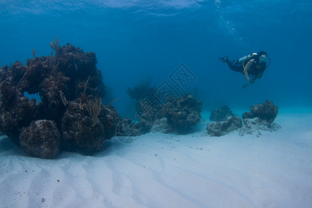 巴哈马一个珊瑚礁上空的图片