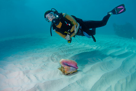 巴哈马沙滩上的女潜水员和美丽的海螺壳背景图片