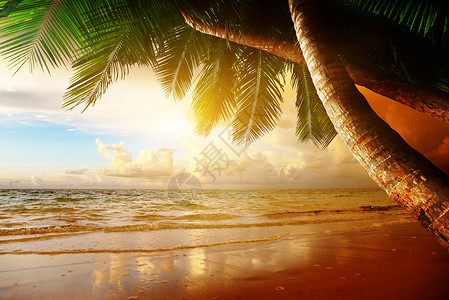 在加勒比海滩的日出图片