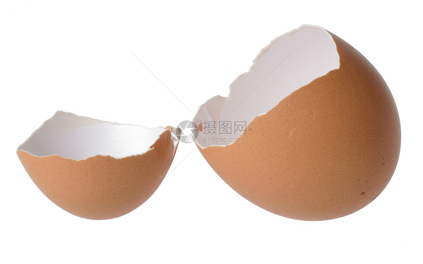 白色背景上的蛋壳图片