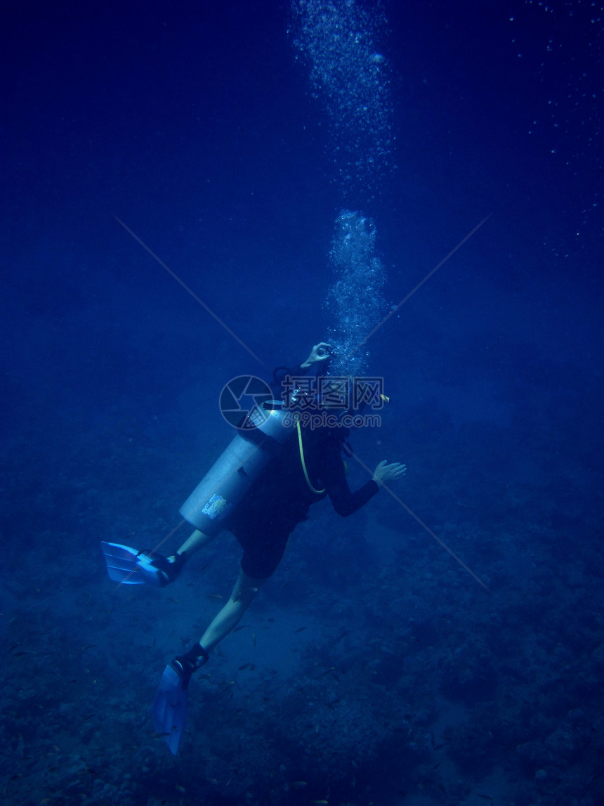 单人潜水员在红海潜水图片