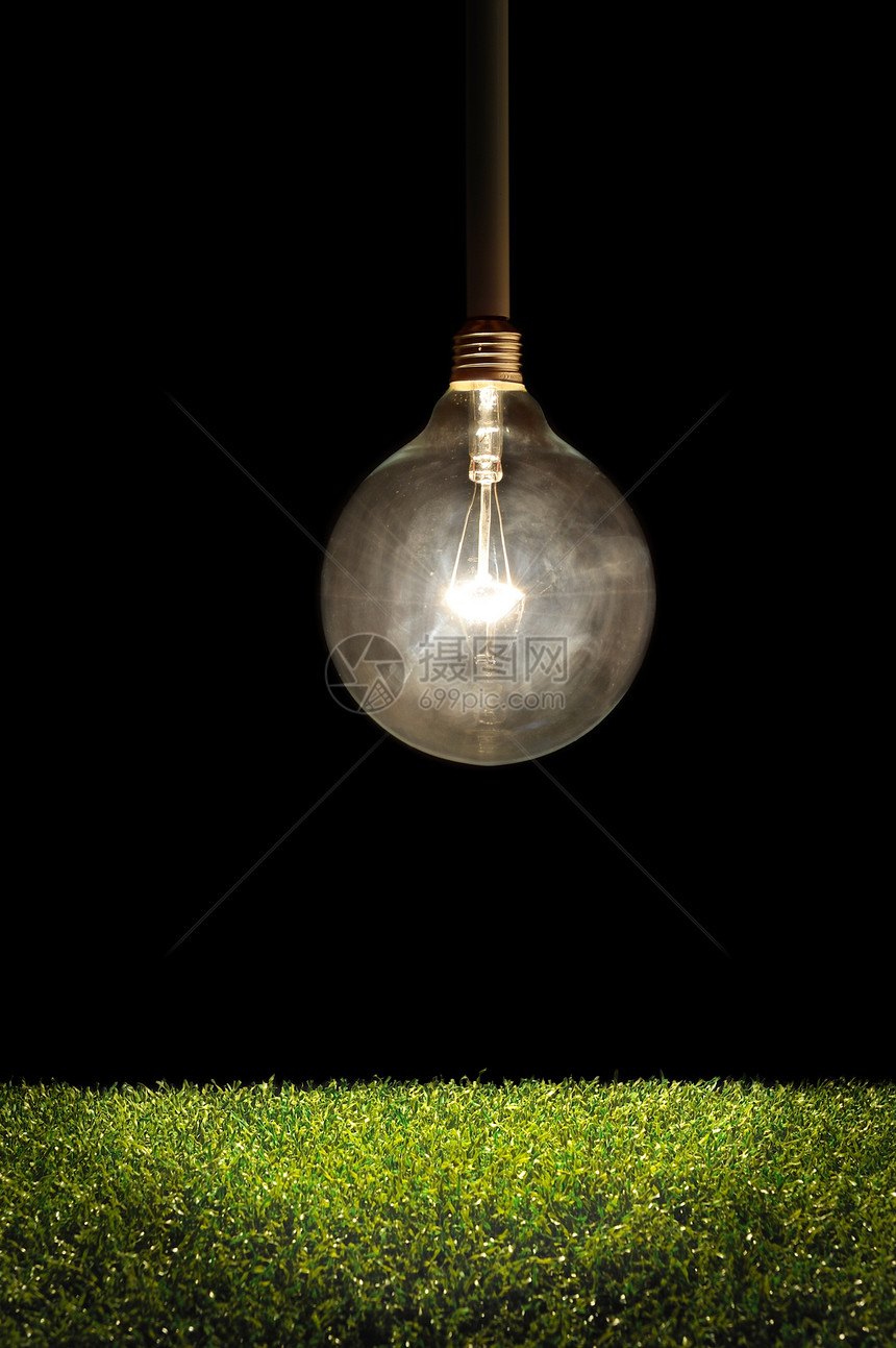 灯泡悬挂在草坪上方图片