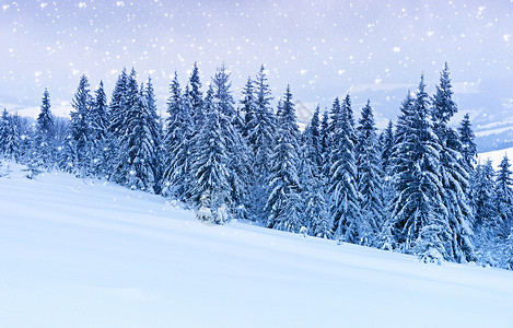 喀尔巴阡山脉的霜天图片