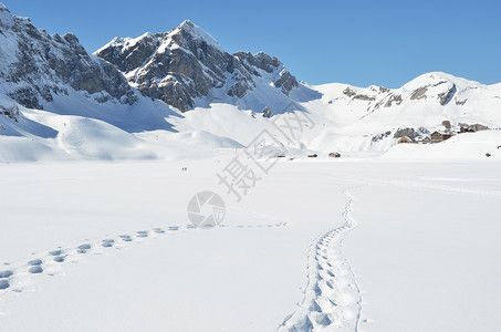 雪地上的脚步声MelchseeFru图片