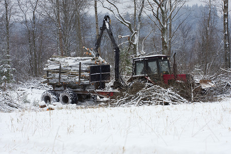 冬季林业伐木车货代图片