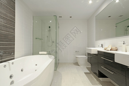 模范的双人浴室有两层水槽镜子淋浴图片
