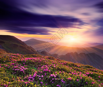 春天的风景山上美丽的日落和图片