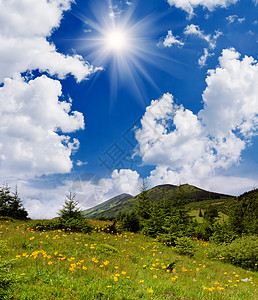 山上开着黄色花朵的夏日风景图片