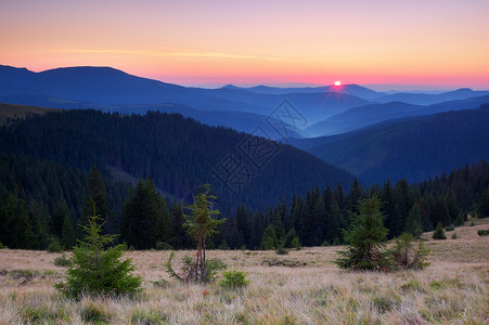 山中黎明时分的风景图片