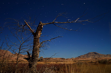 沙漠中恒星背景的夜照图片