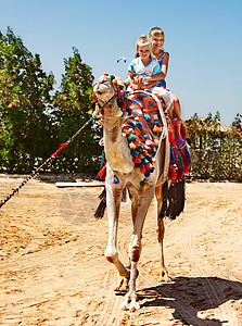 埃及海滩上骑骆驼的旅游儿童骆图片