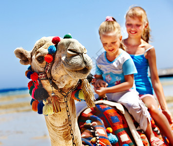 埃及海滩上骑骆驼的旅游儿童骆高清图片