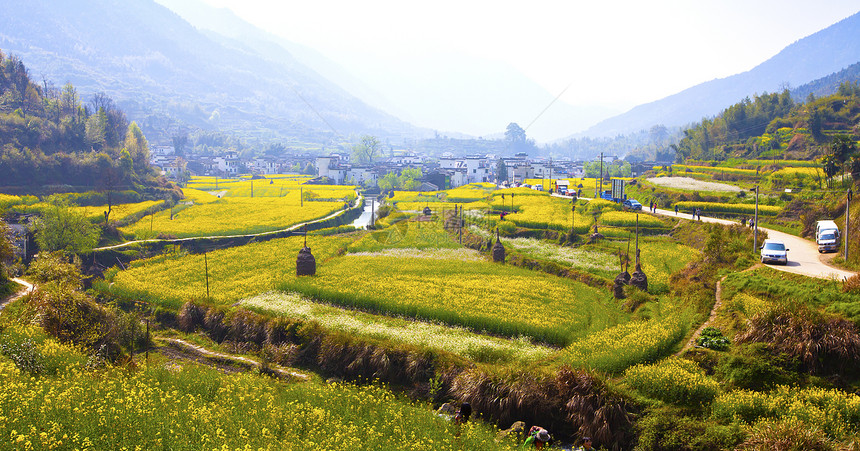 江西省婺源的乡村景观图片