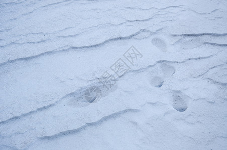 雪细节和形状的图像图片