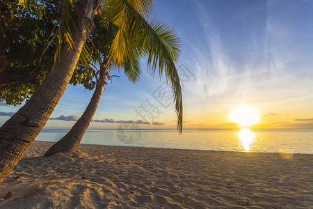 在热带斐济岛上的日落背景图片
