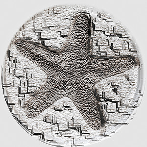 保存在圆形化石中的古代海星图片