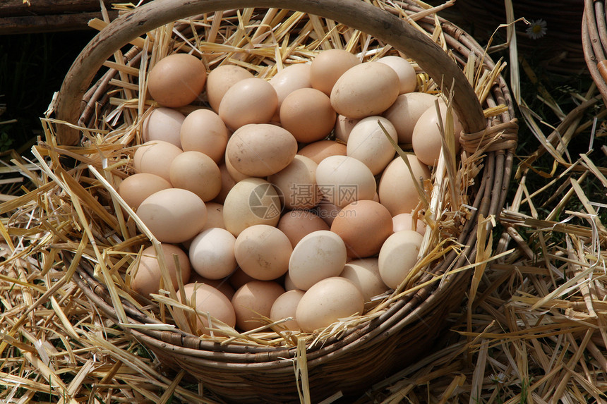 新鲜鸡蛋刚被放在一张在本地市场销图片