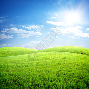 蓝天背景下的新鲜草场图片