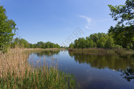 夏季时湖上的美景图片