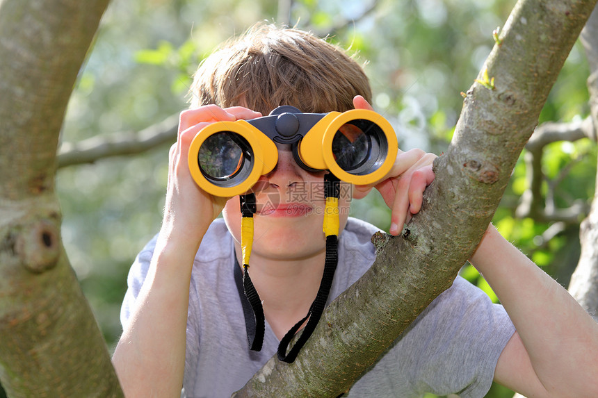 用双筒望远镜看树上的小男孩图片