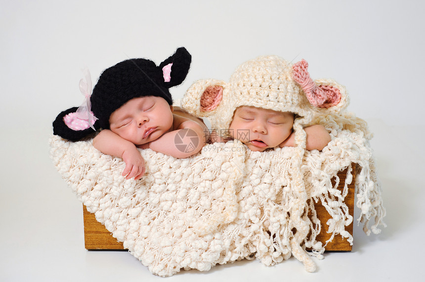 戴着黑羊和羔帽子的异卵双胞胎新生女婴图片