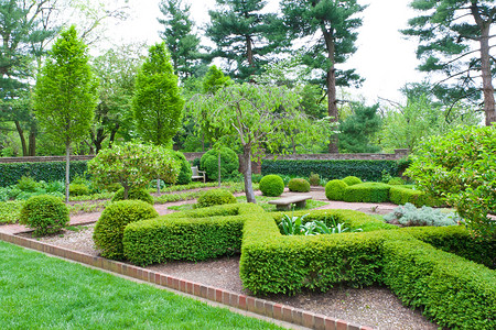 春天正式花园的新鲜绿色景观图片