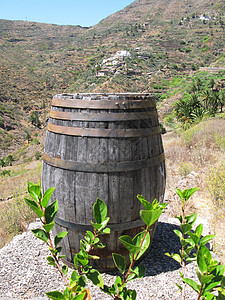 葡萄酒桶特内里图片