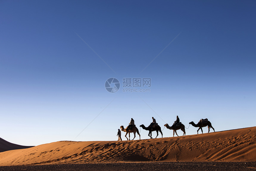 沙漠骆驼骑图片