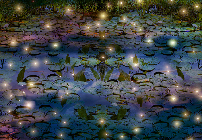 萤火虫与睡莲池塘描绘图片